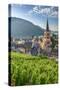 Germany, Rhineland Palatinate, River Rhine-Alan Copson-Stretched Canvas