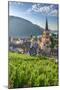 Germany, Rhineland Palatinate, River Rhine-Alan Copson-Mounted Photographic Print