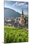 Germany, Rhineland Palatinate, River Rhine-Alan Copson-Mounted Photographic Print