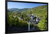 Germany, Rhineland-Palatinate, the Moselle, Traben-Trarbach, Catholic Parish Church St. Nicholas-Chris Seba-Framed Premium Photographic Print