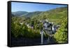 Germany, Rhineland-Palatinate, the Moselle, Traben-Trarbach, Catholic Parish Church St. Nicholas-Chris Seba-Framed Stretched Canvas