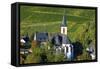 Germany, Rhineland-Palatinate, the Moselle, Traben-Trarbach, Catholic Parish Church St. Nicholas-Chris Seba-Framed Stretched Canvas