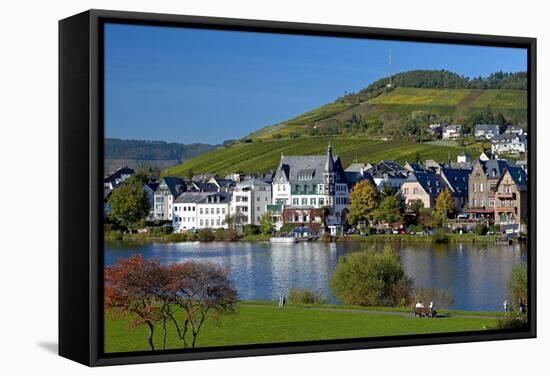 Germany, Rhineland-Palatinate, Traben-Trarbach, Moselle Shore, Vineyard-Chris Seba-Framed Stretched Canvas