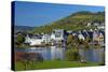 Germany, Rhineland-Palatinate, Traben-Trarbach, Moselle Shore, Vineyard-Chris Seba-Stretched Canvas