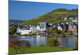 Germany, Rhineland-Palatinate, Traben-Trarbach, Moselle Shore, Vineyard-Chris Seba-Mounted Photographic Print