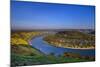 Germany, Rhineland-Palatinate, Upper Middle Rhine Valley, Boppard, Rhine Loop West Part-Udo Siebig-Mounted Photographic Print