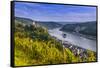 Germany, Rhineland-Palatinate, Upper Middle Rhine Valley, Kaub, Rhine Valley-Udo Siebig-Framed Stretched Canvas