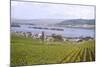 Germany, Rudesheim-null-Mounted Photographic Print