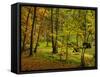 Germany, Ruegen Jasmund National Park, Hertha Lake-K. Schlierbach-Framed Stretched Canvas