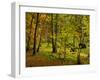 Germany, Ruegen Jasmund National Park, Hertha Lake-K. Schlierbach-Framed Photographic Print