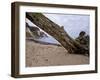 Germany, Ruegen Jasmund National Park-K. Schlierbach-Framed Photographic Print