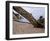 Germany, Ruegen Jasmund National Park-K. Schlierbach-Framed Photographic Print