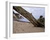 Germany, Ruegen Jasmund National Park-K. Schlierbach-Framed Photographic Print