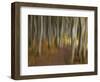 Germany, Ruegen Jasmund National Park-K. Schlierbach-Framed Photographic Print