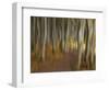 Germany, Ruegen Jasmund National Park-K. Schlierbach-Framed Photographic Print