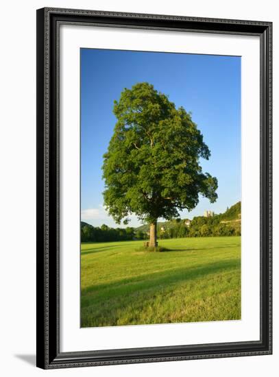 Germany, Saxony-Anhalt, Bad Kšsen, Saale Valley, Landscape with Ruin Saaleck-Andreas Vitting-Framed Photographic Print