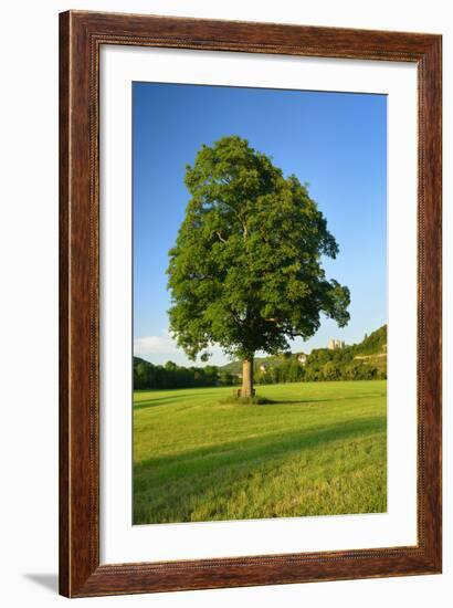 Germany, Saxony-Anhalt, Bad Kšsen, Saale Valley, Landscape with Ruin Saaleck-Andreas Vitting-Framed Photographic Print