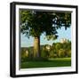 Germany, Saxony-Anhalt, Bad Kšsen, Saale Valley, Landscape with Ruin Saaleck-Andreas Vitting-Framed Photographic Print