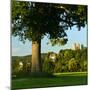 Germany, Saxony-Anhalt, Bad Kšsen, Saale Valley, Landscape with Ruin Saaleck-Andreas Vitting-Mounted Photographic Print