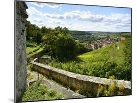 Germany, Saxony-Anhalt, Burgenlandkreis, Freyburg (Unstrut), Vineyards, View at Freyburg-Andreas Vitting-Mounted Photographic Print