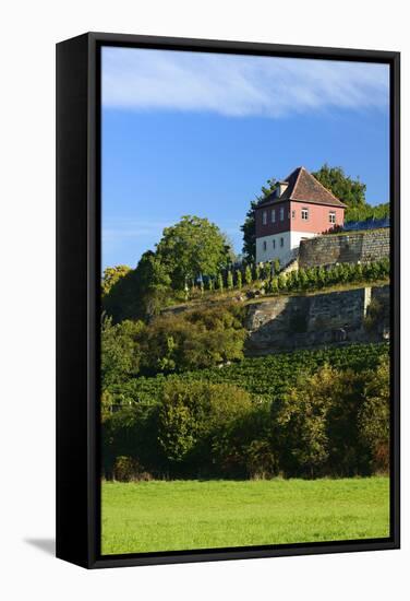 Germany, Saxony-Anhalt, Burgenlandkreis, Gro§jena, Max Klinger Vineyard with Vineyard House-Andreas Vitting-Framed Stretched Canvas