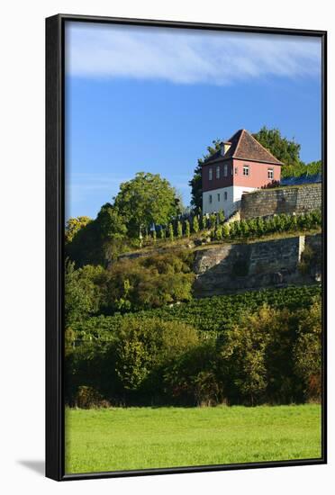 Germany, Saxony-Anhalt, Burgenlandkreis, Gro§jena, Max Klinger Vineyard with Vineyard House-Andreas Vitting-Framed Photographic Print