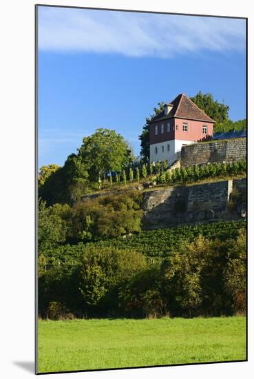 Germany, Saxony-Anhalt, Burgenlandkreis, Gro§jena, Max Klinger Vineyard with Vineyard House-Andreas Vitting-Mounted Photographic Print