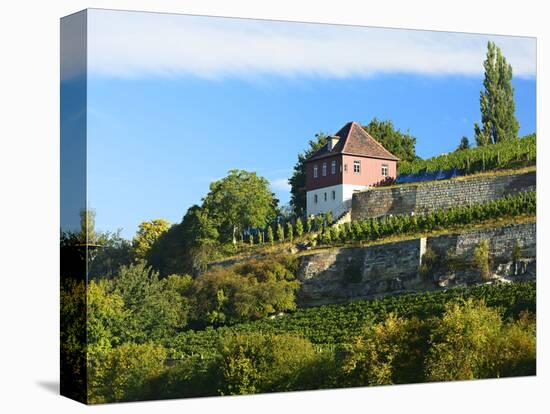 Germany, Saxony-Anhalt, Burgenlandkreis, Gro§jena, Max Klinger Vineyard with Vineyard House-Andreas Vitting-Stretched Canvas