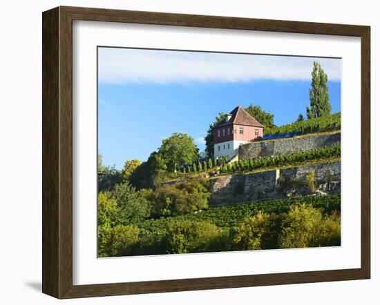 Germany, Saxony-Anhalt, Burgenlandkreis, Gro§jena, Max Klinger Vineyard with Vineyard House-Andreas Vitting-Framed Photographic Print