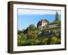 Germany, Saxony-Anhalt, Burgenlandkreis, Gro§jena, Max Klinger Vineyard with Vineyard House-Andreas Vitting-Framed Photographic Print