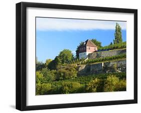 Germany, Saxony-Anhalt, Burgenlandkreis, Gro§jena, Max Klinger Vineyard with Vineyard House-Andreas Vitting-Framed Photographic Print