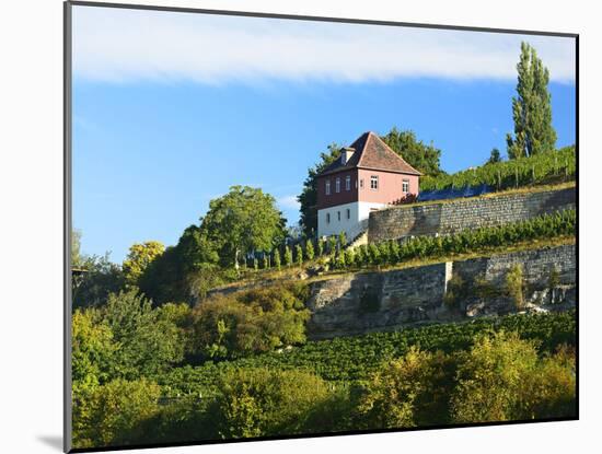 Germany, Saxony-Anhalt, Burgenlandkreis, Gro§jena, Max Klinger Vineyard with Vineyard House-Andreas Vitting-Mounted Photographic Print