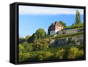 Germany, Saxony-Anhalt, Burgenlandkreis, Gro§jena, Max Klinger Vineyard with Vineyard House-Andreas Vitting-Framed Stretched Canvas