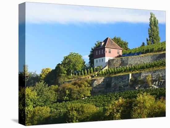 Germany, Saxony-Anhalt, Burgenlandkreis, Gro§jena, Max Klinger Vineyard with Vineyard House-Andreas Vitting-Stretched Canvas