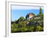 Germany, Saxony-Anhalt, Burgenlandkreis, Gro§jena, Max Klinger Vineyard with Vineyard House-Andreas Vitting-Framed Photographic Print