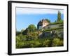 Germany, Saxony-Anhalt, Burgenlandkreis, Gro§jena, Max Klinger Vineyard with Vineyard House-Andreas Vitting-Framed Photographic Print