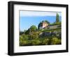 Germany, Saxony-Anhalt, Burgenlandkreis, Gro§jena, Max Klinger Vineyard with Vineyard House-Andreas Vitting-Framed Photographic Print