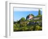 Germany, Saxony-Anhalt, Burgenlandkreis, Gro§jena, Max Klinger Vineyard with Vineyard House-Andreas Vitting-Framed Photographic Print