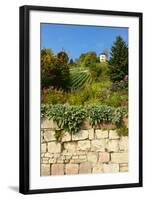 Germany, Saxony-Anhalt, Castle Naumburg-Andreas Vitting-Framed Photographic Print