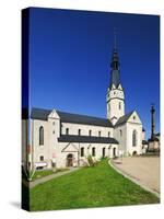 Germany, Saxony-Anhalt, Harz, Sangerhausen, Ulrich Church, Outdoors-Andreas Vitting-Stretched Canvas