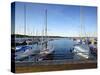 Germany, Saxony-Anhalt, MŸcheln, Geiseltalsee, Marina, Sailboats in the Evening Light-Andreas Vitting-Stretched Canvas