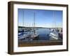 Germany, Saxony-Anhalt, MŸcheln, Geiseltalsee, Marina, Sailboats in the Evening Light-Andreas Vitting-Framed Photographic Print