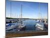 Germany, Saxony-Anhalt, MŸcheln, Geiseltalsee, Marina, Sailboats in the Evening Light-Andreas Vitting-Mounted Photographic Print