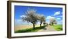 Germany, Saxony-Anhalt, Near Naumburg, Blossoming Cherry Trees at Country Road-Andreas Vitting-Framed Photographic Print