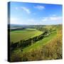 Germany, Saxony-Anhalt, Near Naumburg-Andreas Vitting-Stretched Canvas