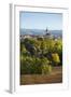 Germany, Saxony-Anhalt, View at the Historical Old Town with the Wenzelskirche-Andreas Vitting-Framed Photographic Print