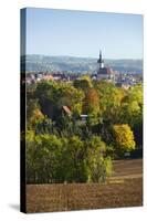 Germany, Saxony-Anhalt, View at the Historical Old Town with the Wenzelskirche-Andreas Vitting-Stretched Canvas