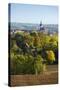 Germany, Saxony-Anhalt, View at the Historical Old Town with the Wenzelskirche-Andreas Vitting-Stretched Canvas