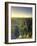 Germany, Saxony, Dresden, Saxon Switzerland National Park (Sachsische Schweiz)-Michele Falzone-Framed Photographic Print