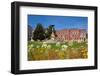 Germany, Saxony, Gšrlitz, Postplatz, Muschelminna-Catharina Lux-Framed Photographic Print